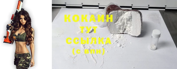 прущие грибы Нефтекумск