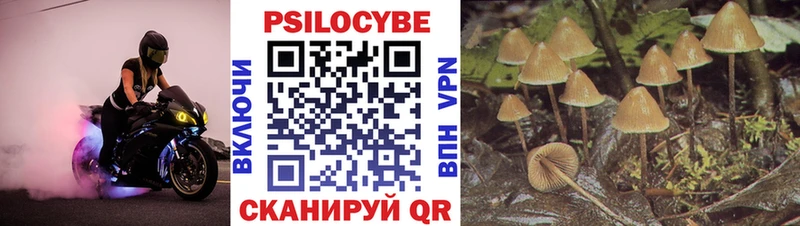 Псилоцибиновые грибы GOLDEN TEACHER  сколько стоит  Ардатов 